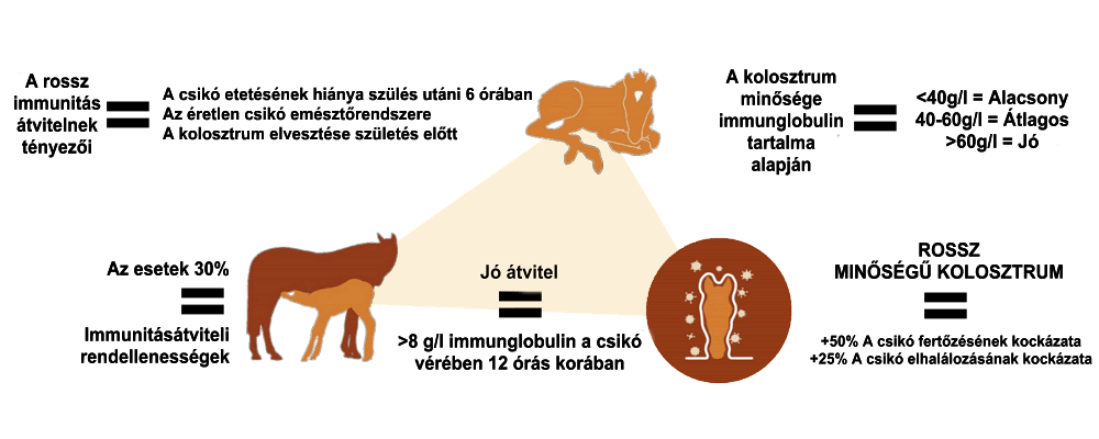 Kolosztrum